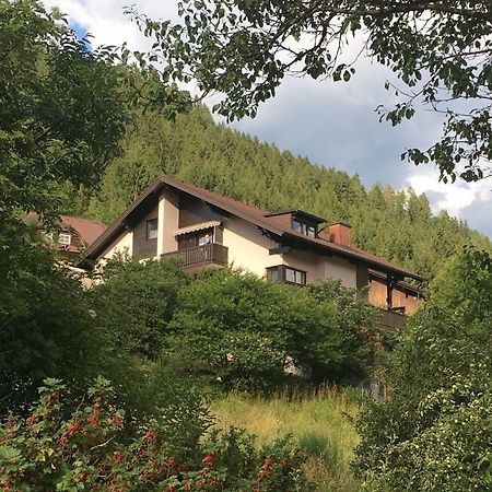 Haus Agnes, Murau Exterior photo